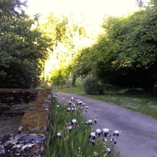 La ruelle du moulin