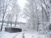 Ste Colombe sous la neige