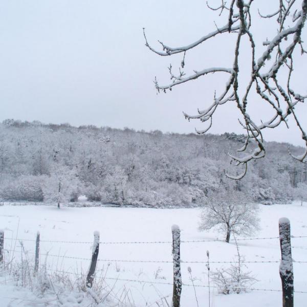 Campagne sous la neige